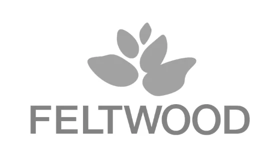 feltwood-logo-efecto-colibrí-2