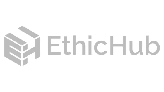 ethic-hub-efecto-colibrí