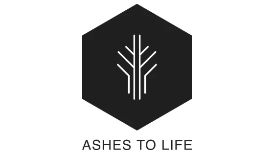 ashes-to-life-efecto-colibrí
